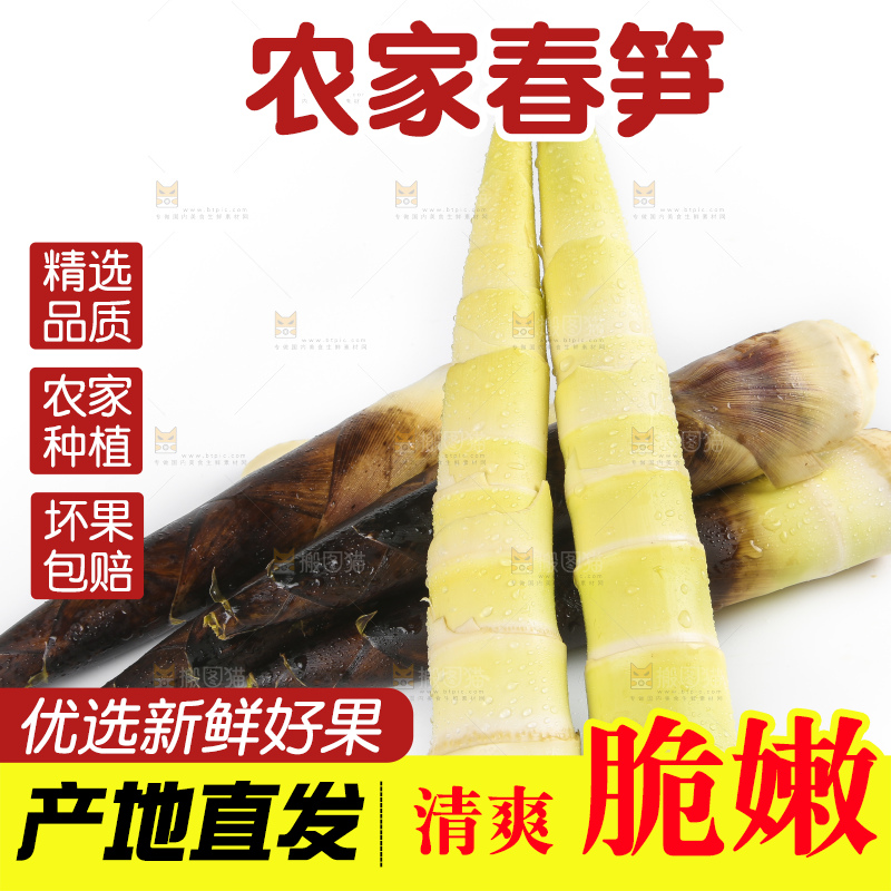 白底上放着新鲜的富阳春笋
