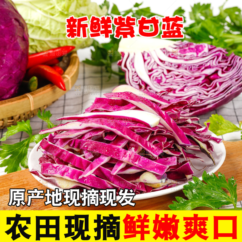 格子底上放着甘蓝