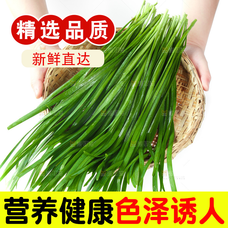 篮子里堆放着韭菜