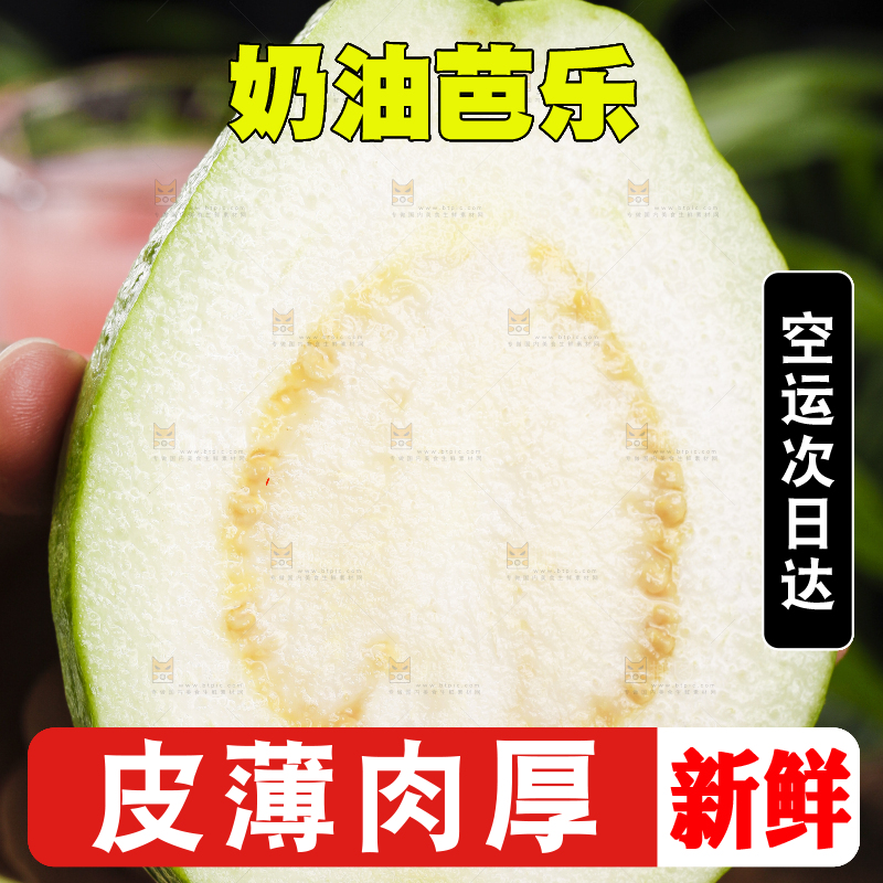 手里拿着广西白心芭乐