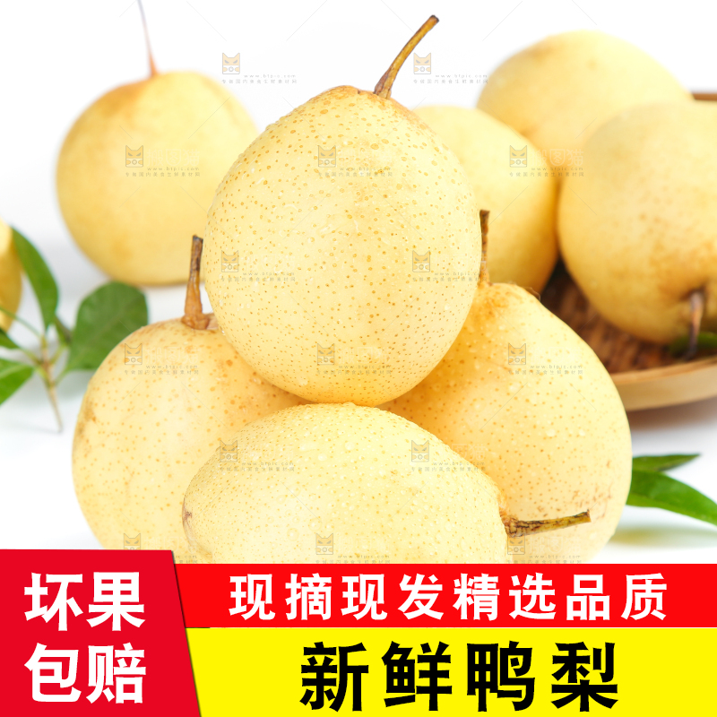 白底上摆放着鸭嘴梨