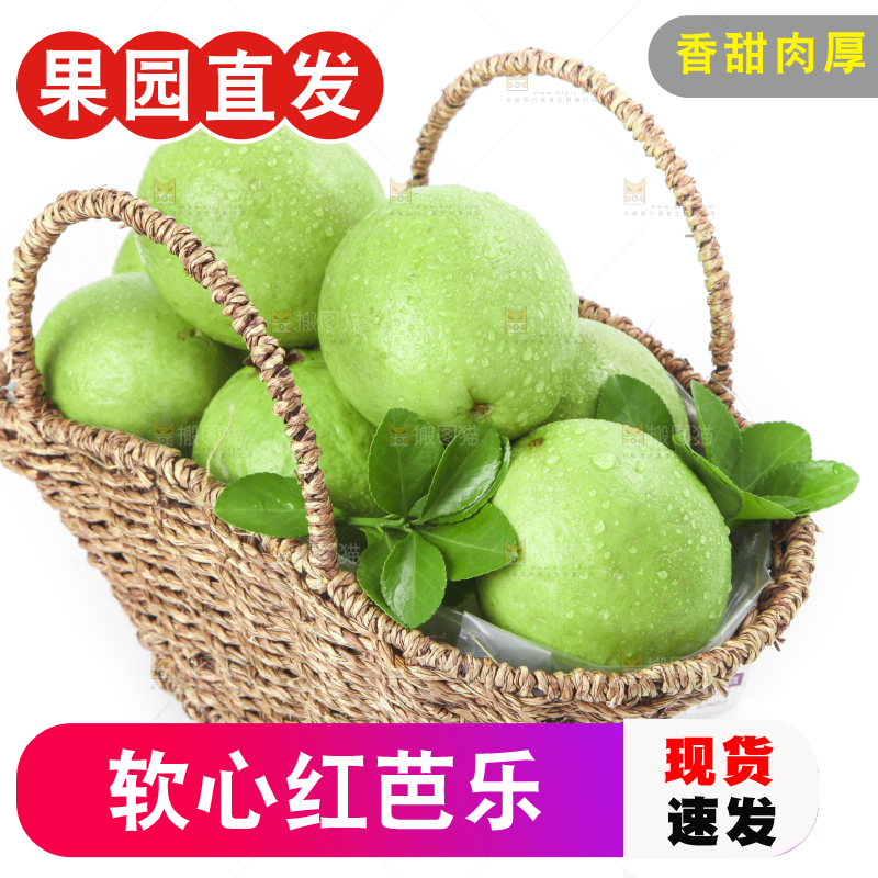 篮子里装着红心芭乐