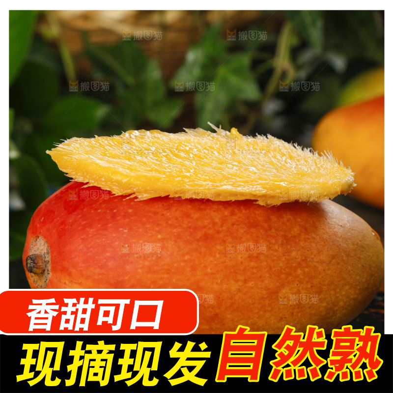 石板上放着芒果果核
