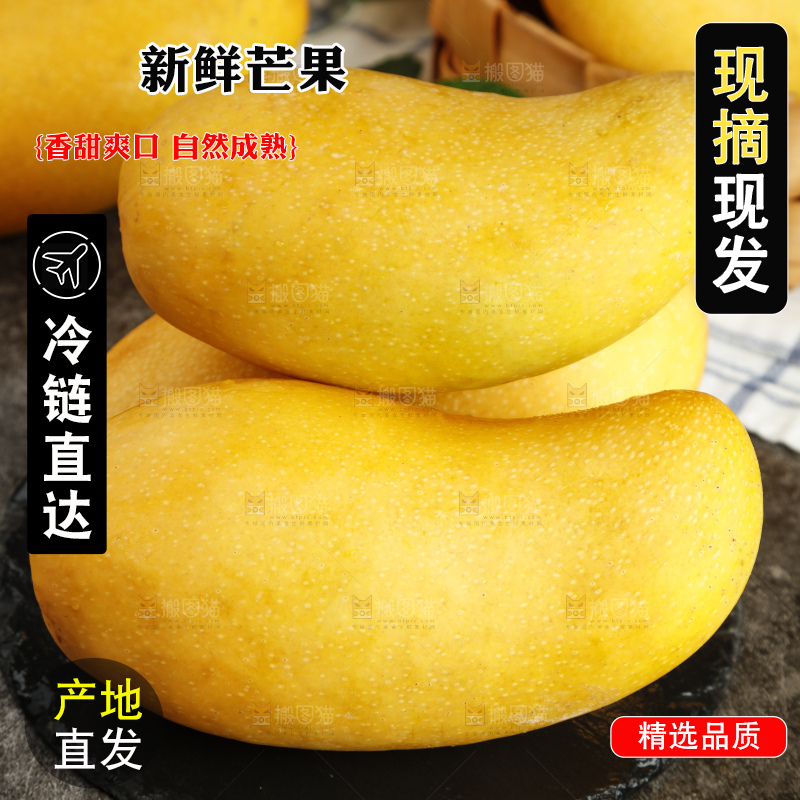 深底上的新鲜金煌芒