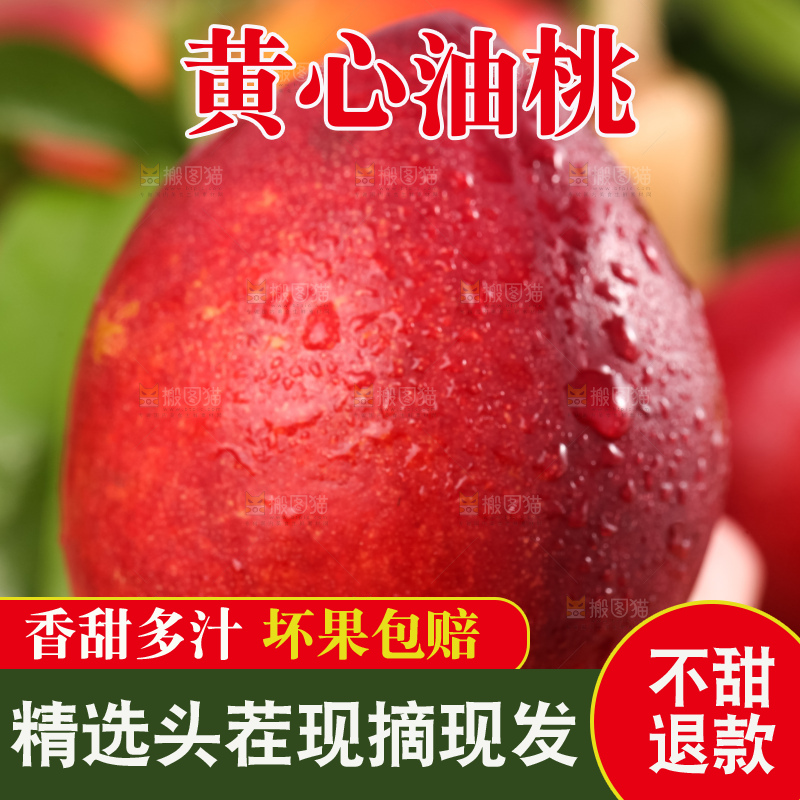 手里捧着山西黄心油桃