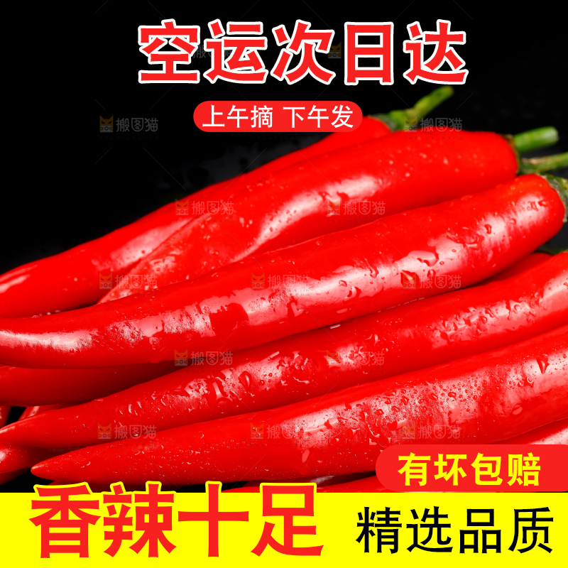 黑底上放着辣椒