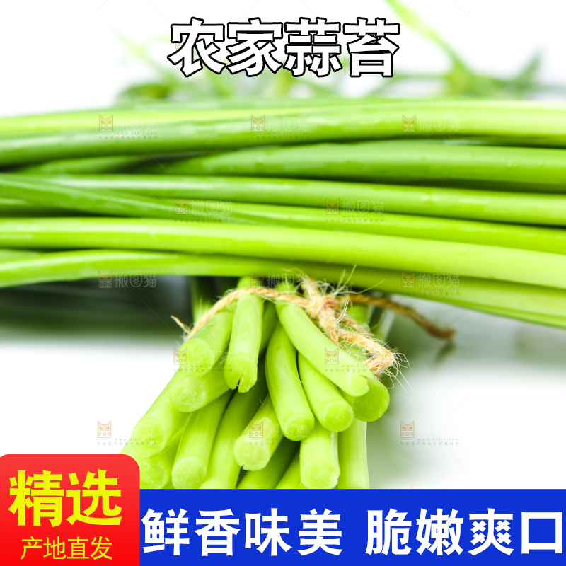 白底上放着新鲜蒜苔