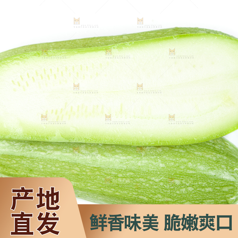 白底上摆放着茭瓜