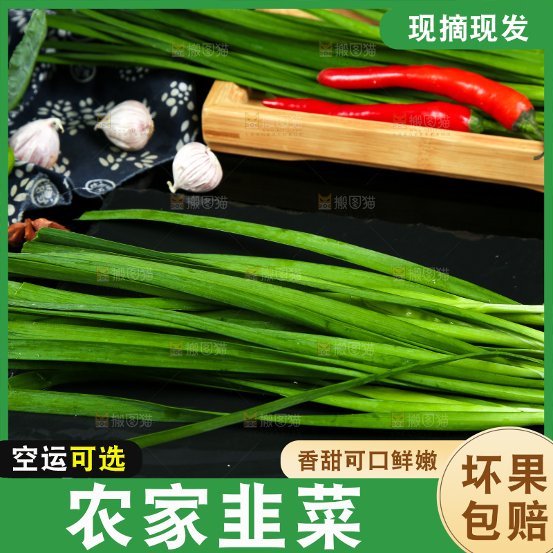 黑底上堆放着韭菜