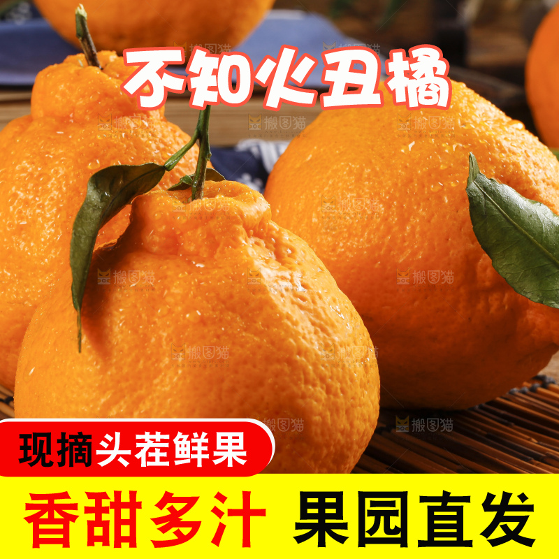 木底上的新鲜丑橘