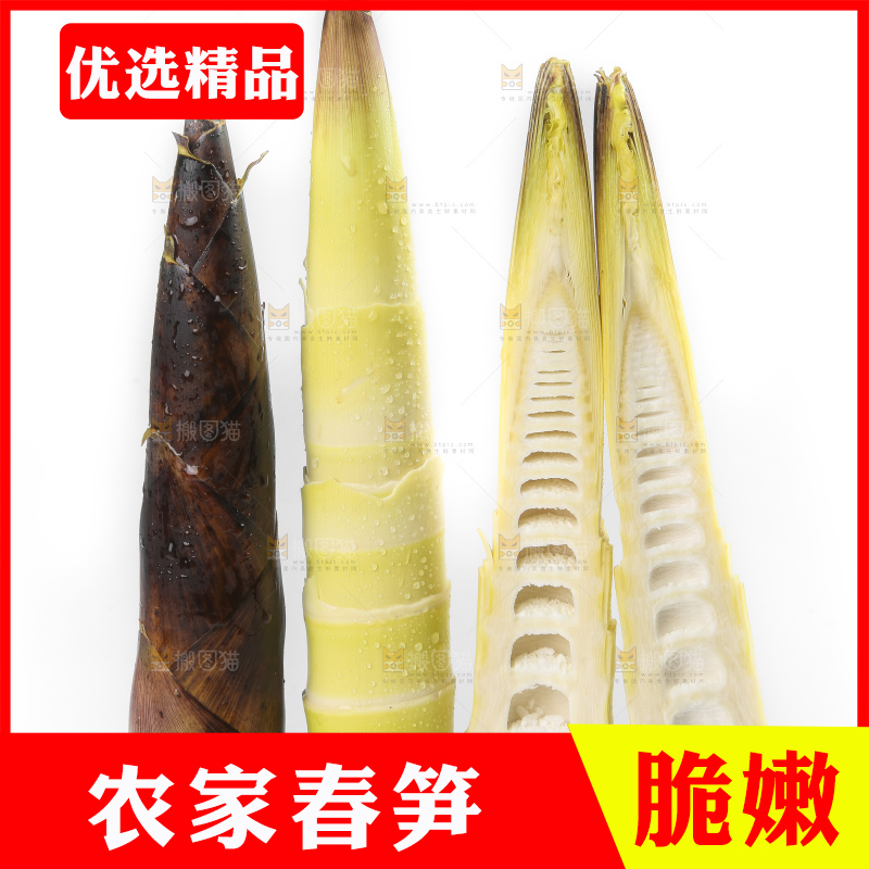 切开的临安春笋放在白底上