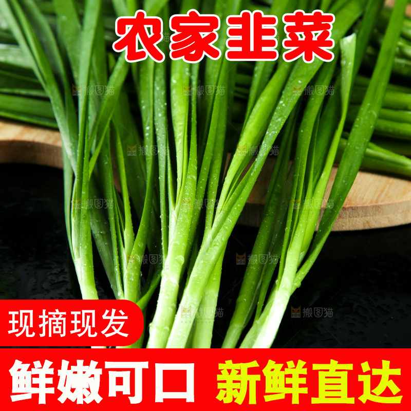 黑底上堆放着韭菜