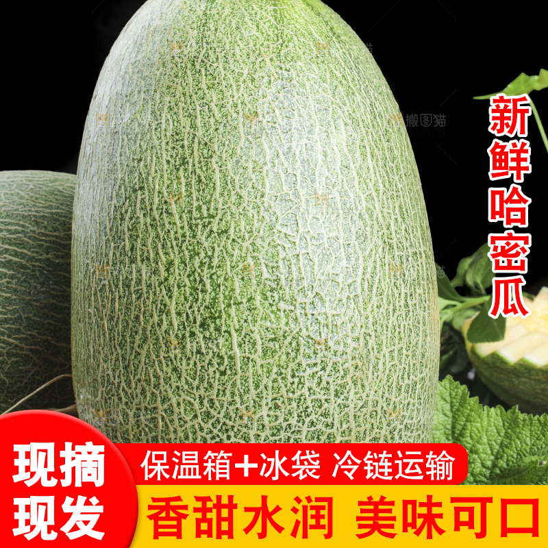 黑底上放着新鲜哈密瓜