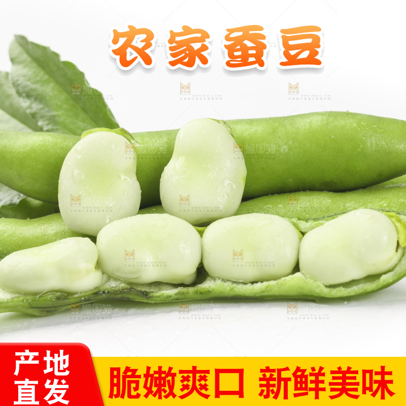 白底上放着剥壳的云南新鲜蚕豆
