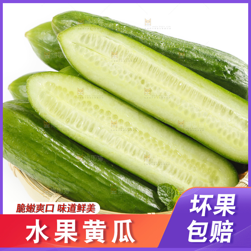 白底上放着一筐新鲜的东北小黄瓜