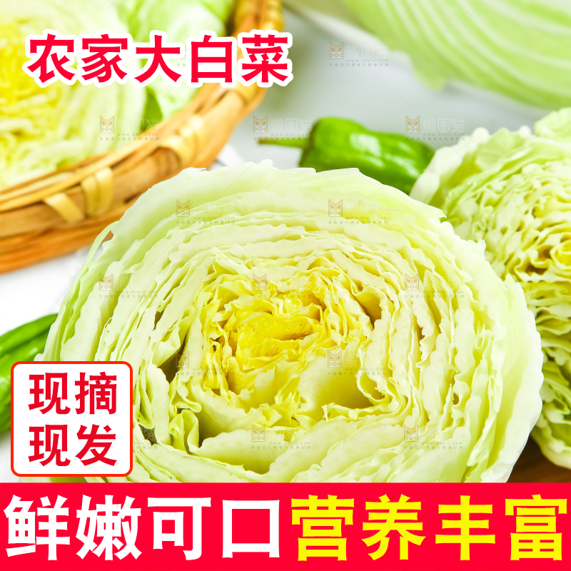 木底上放着新鲜大白菜