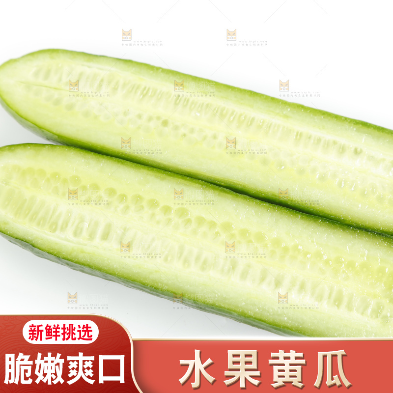 新鲜的山东小青瓜放在白底上