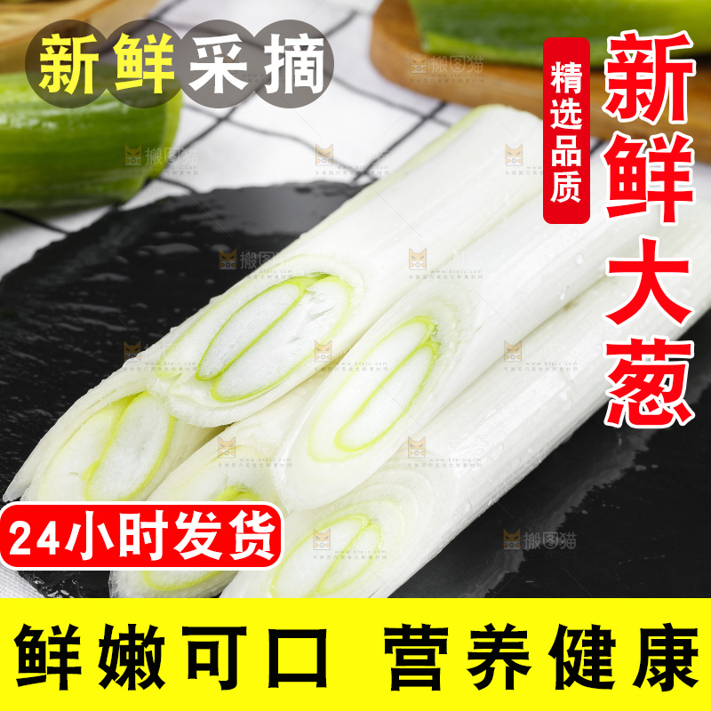 格子底上的大葱