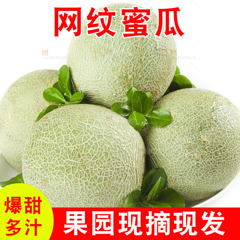 白底上放着新鲜玫珑网纹蜜瓜