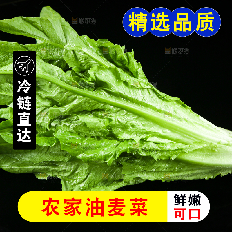 黑底上摆放着油麦菜
