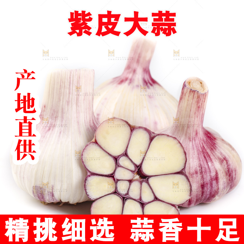 白底上放着新鲜紫皮大蒜头