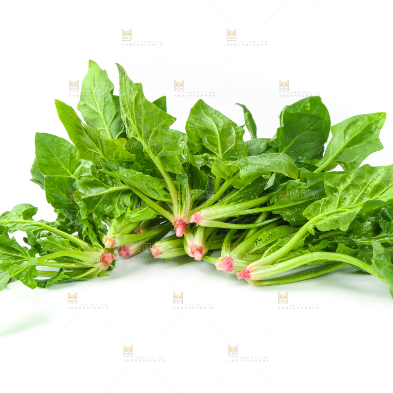 白底上放着新鲜菠菜