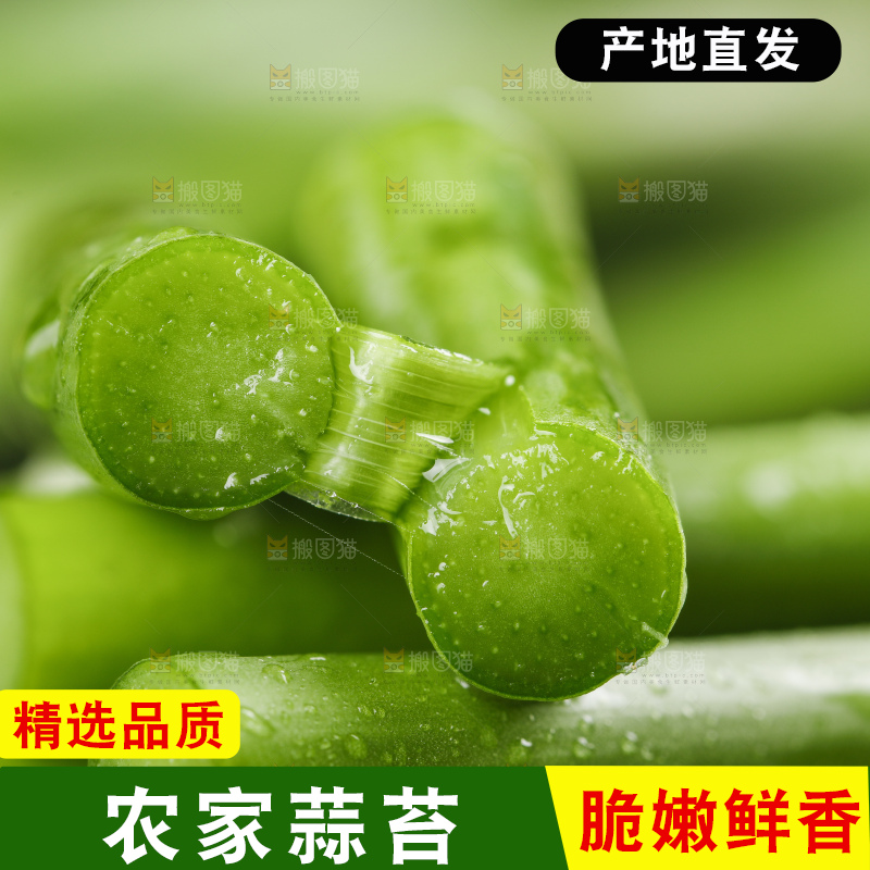 黑底上放着新鲜蒜苔