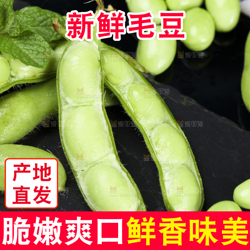黑底上放着剥皮的云南毛豆