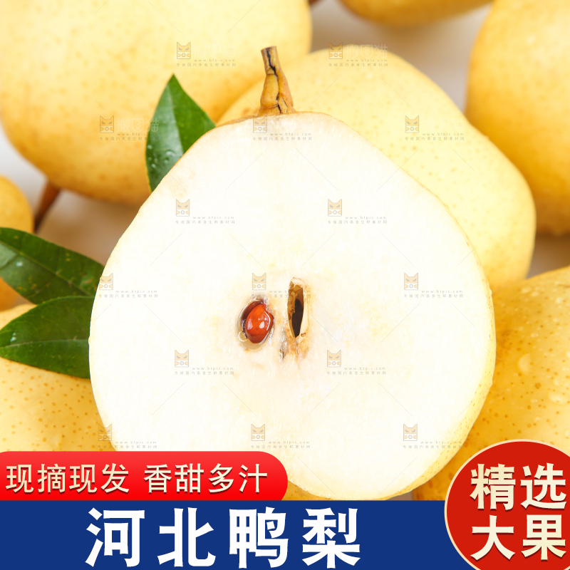 白底上放着鸭嘴梨