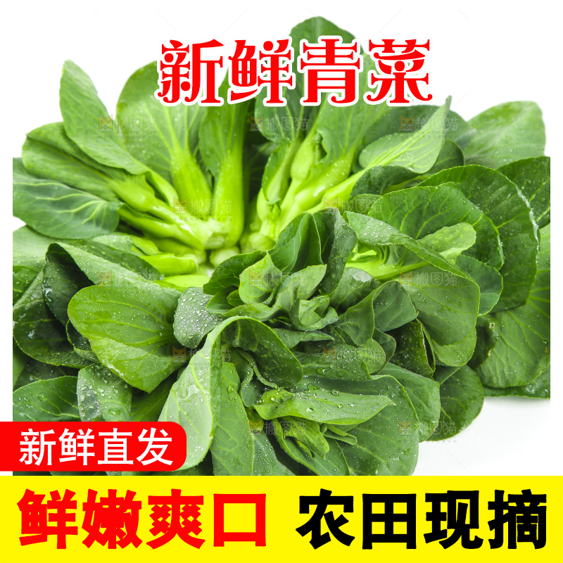 白底上放着青菜
