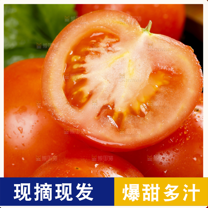 深底上摆放着番茄