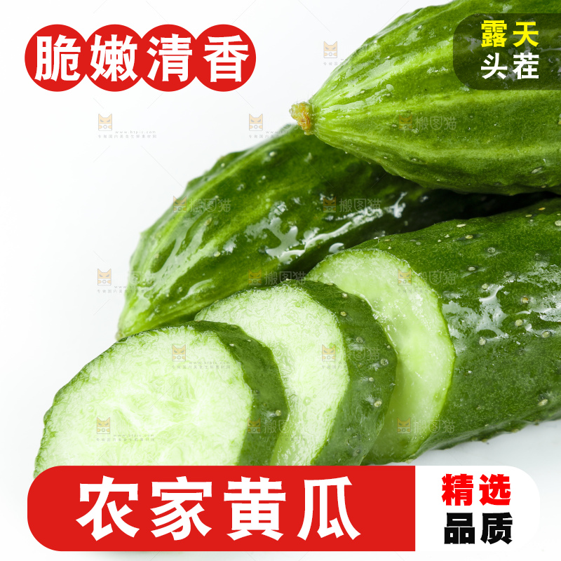白底上的新鲜青瓜