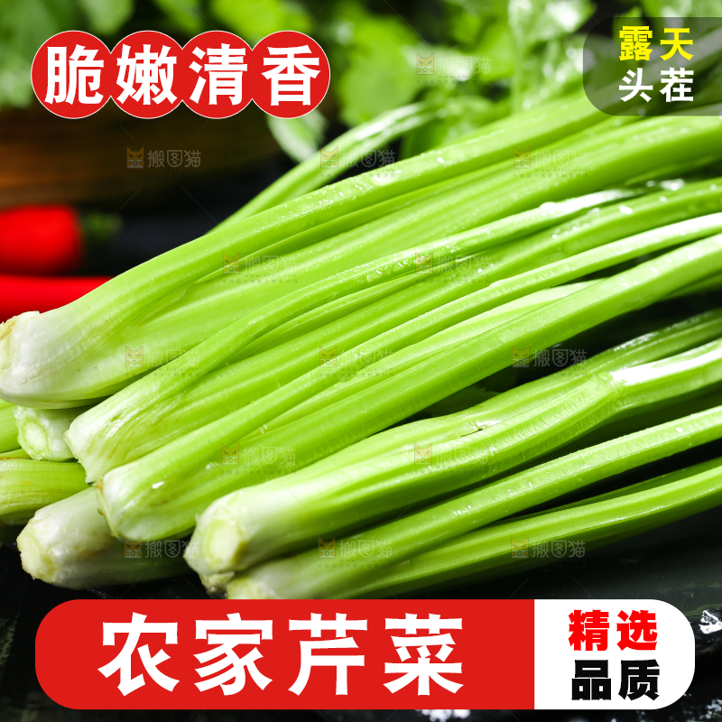 黑底上放着小芹菜