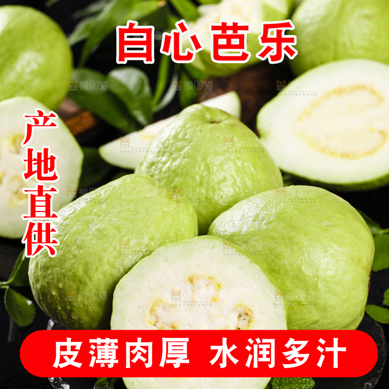 一堆新鲜的广西白心芭乐