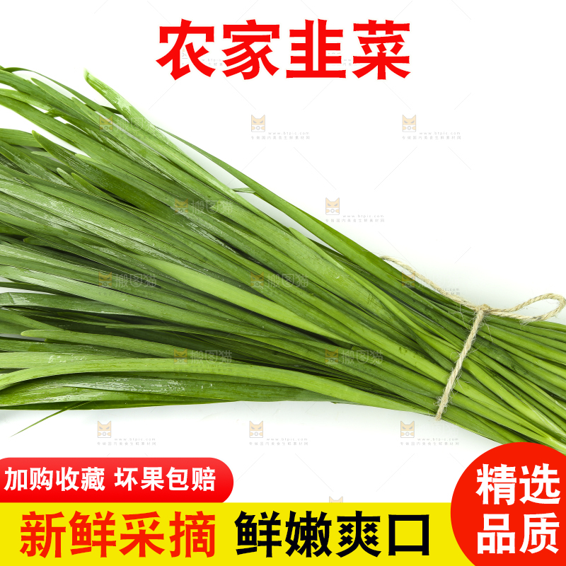 白底上放着新鲜韭菜