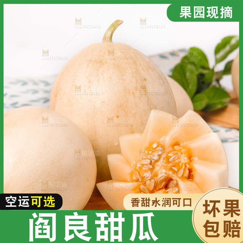 木底上放着新鲜的阎良蜜瓜