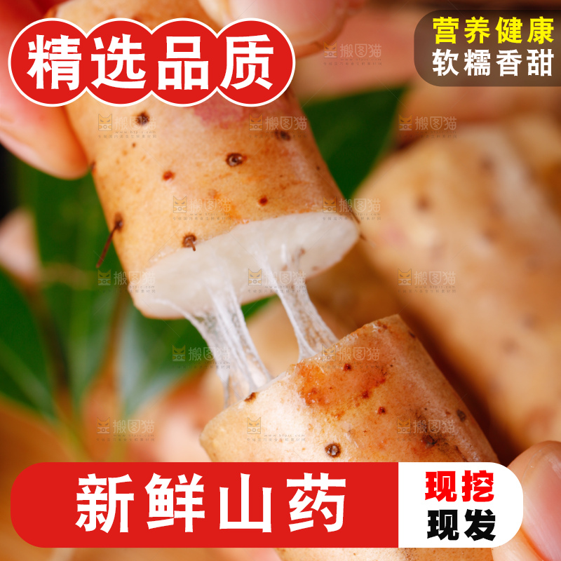 手里拿着小白嘴山药