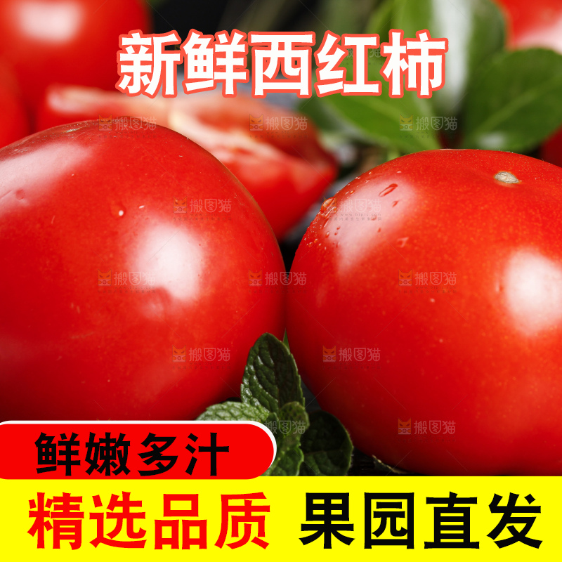 黑底上放着普罗旺斯西红柿