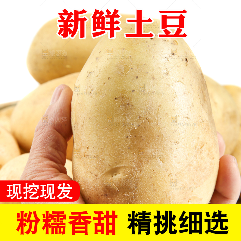 篮子放着土豆
