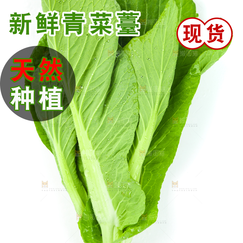 白底上放着青菜薹