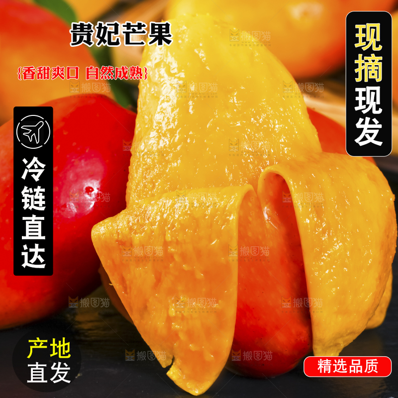 手拿海南新鲜贵妃芒