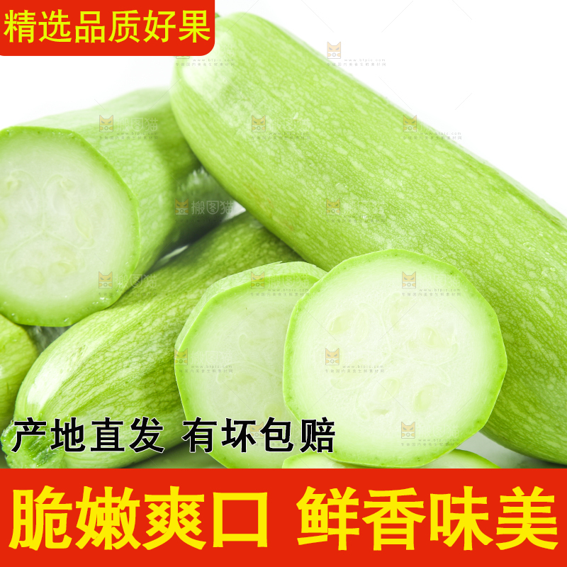 白底上摆放着茭瓜