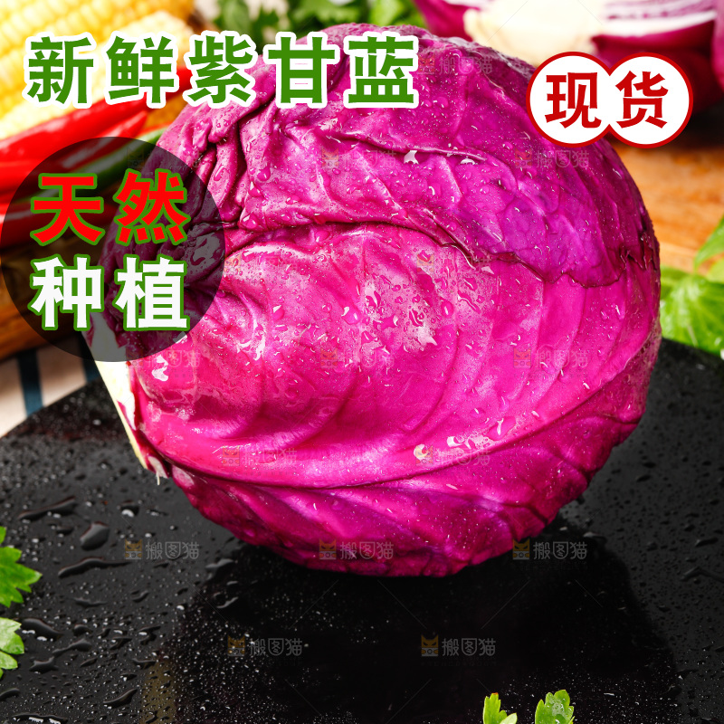 黑底上放着地甘蓝