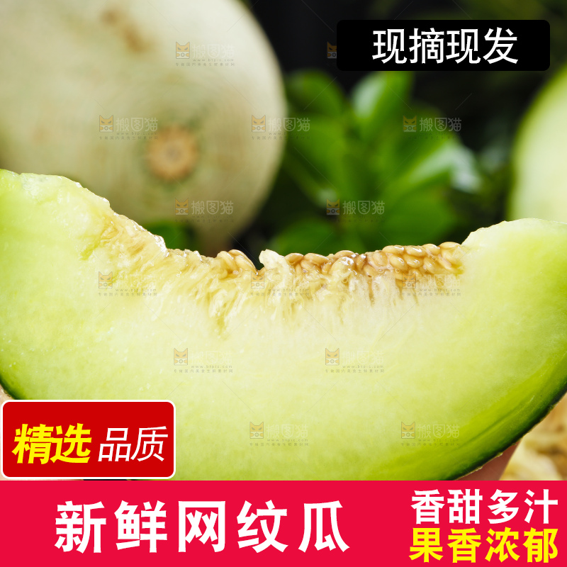 手拿切开的海南玫珑蜜瓜