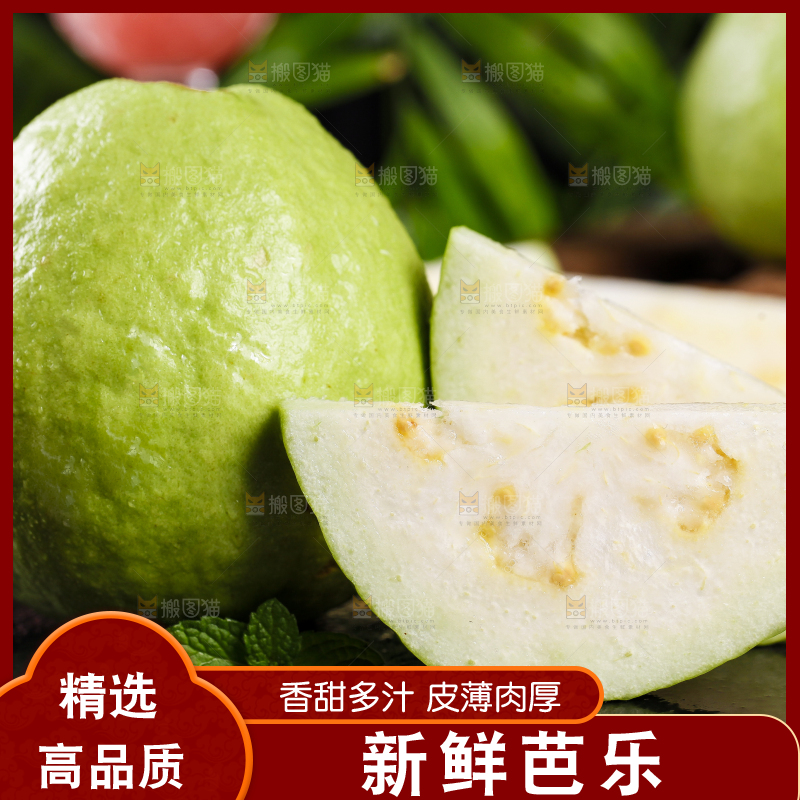 黑底上的广西白心芭乐