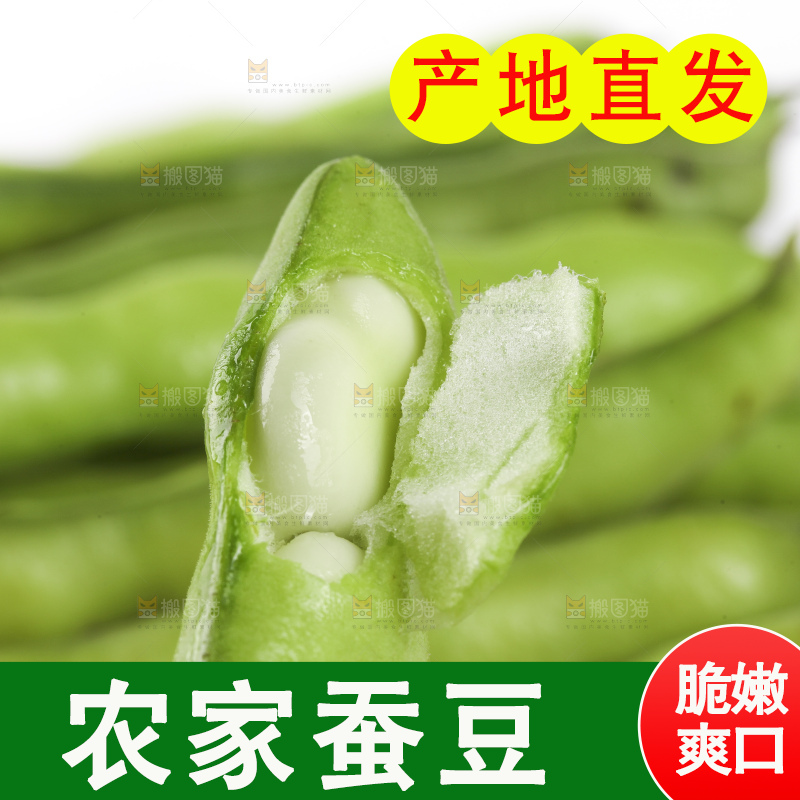 白底上放着新鲜蚕豆