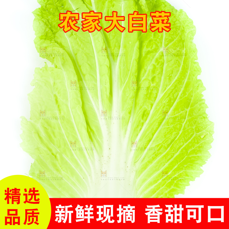 白底上放着白菜