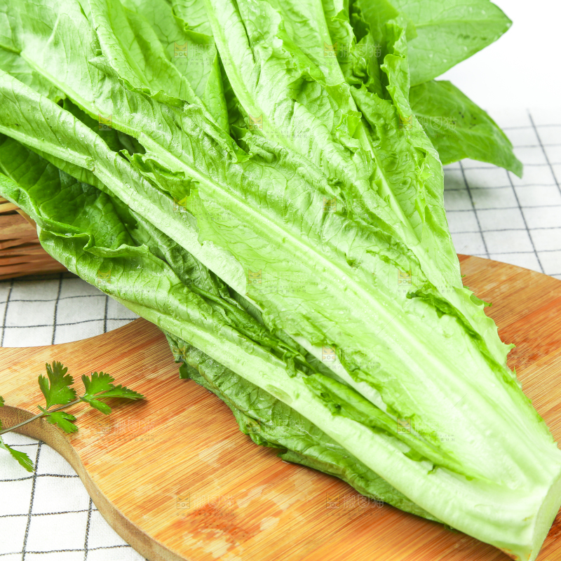 格子底上放着油麦菜