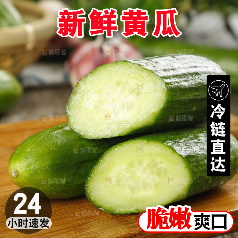 新鲜的山东水果黄瓜放在木板上
