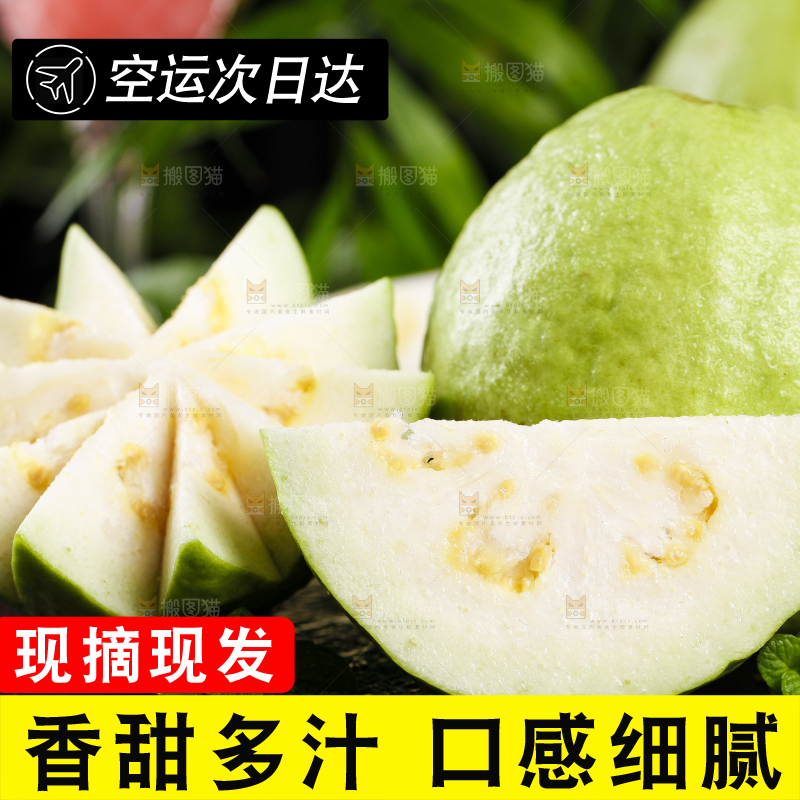 黑底上的广西白心芭乐